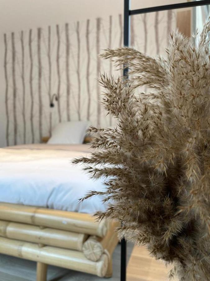 Ng Suitehome - Lille I Roubaix I Gare I Metro Alsace - Grand T2 - Balneo - Netflix - Wifi - Cuisine Екстер'єр фото